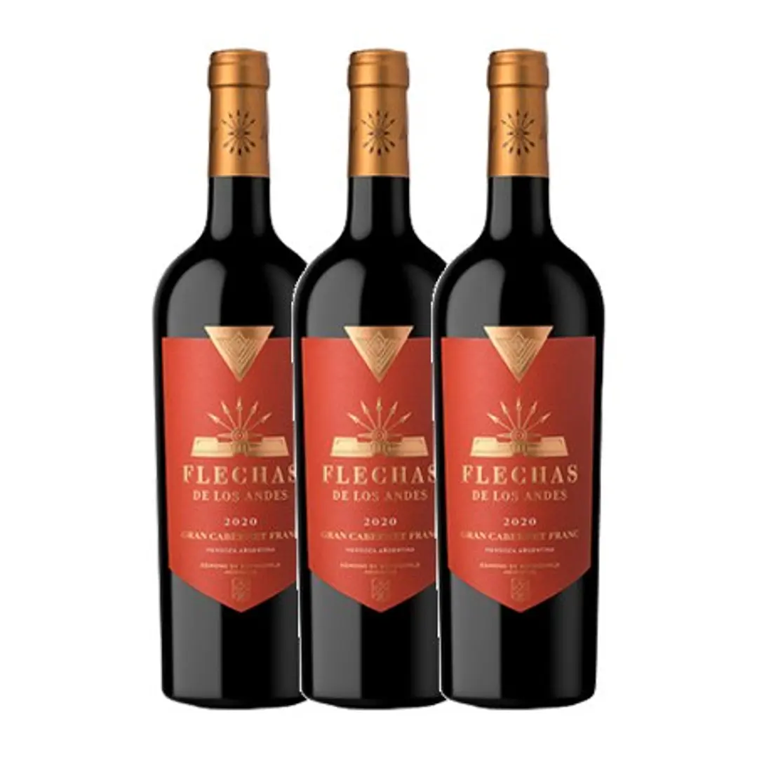 Flechas de Los Andes Gran Cabernet Franc 2020 3