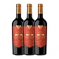 Flechas de Los Andes Gran Cabernet Franc 2020 - Thumbnail 3