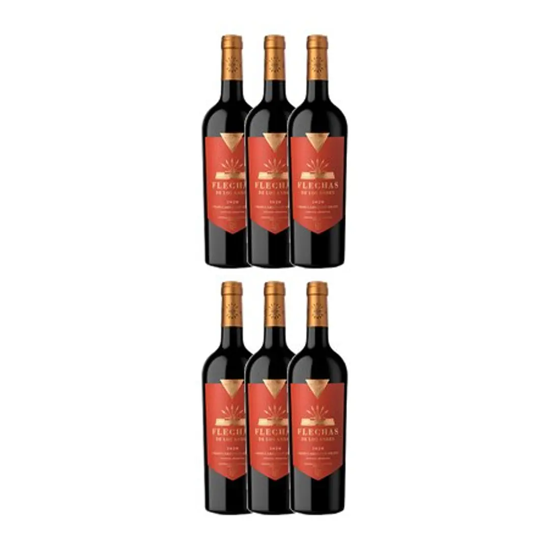 Flechas de Los Andes Gran Cabernet Franc 2020 4