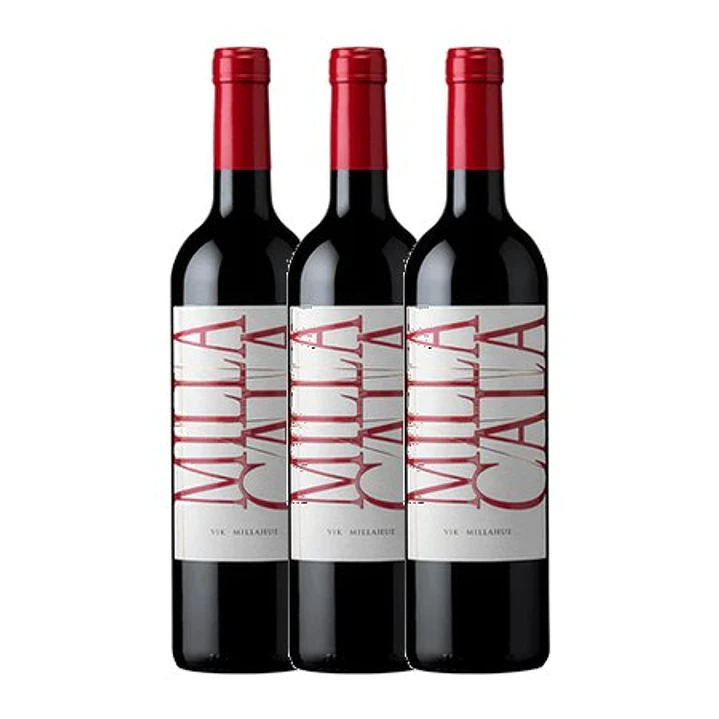VIK - Milla Cala 2021 Valle de Cachapoal 3