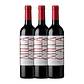 VIK - Milla Cala 2021 Valle de Cachapoal - Miniatura 3