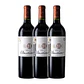 Almaviva 2021 - Miniatura 3