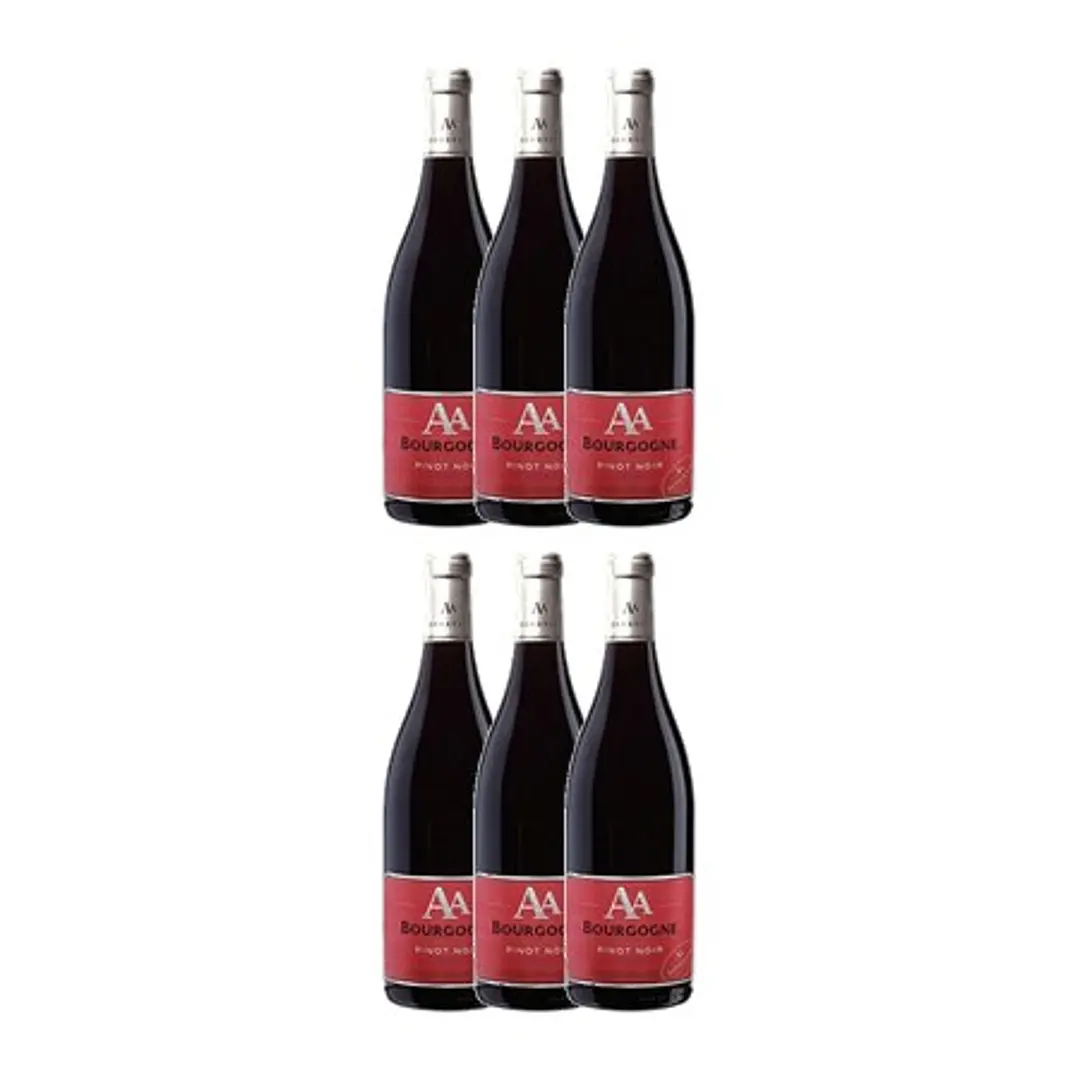 Aegerter Pinot Noir Tinto Bourgogne 2018 4