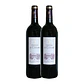 Château Le Coteau Margaux Tinto 2009 - Thumbnail 2