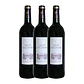 Château Le Coteau Margaux Tinto 2009 - Thumbnail 3