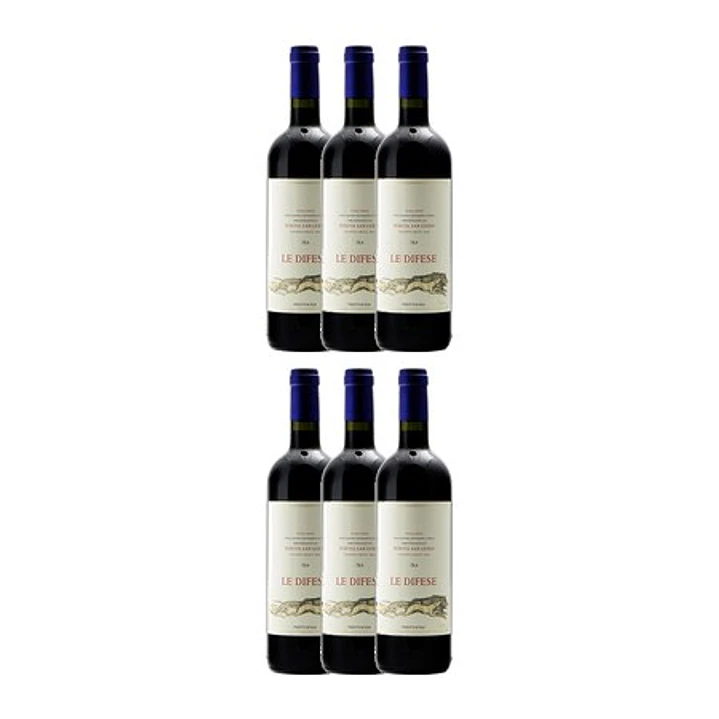 Tenuta San Guido 