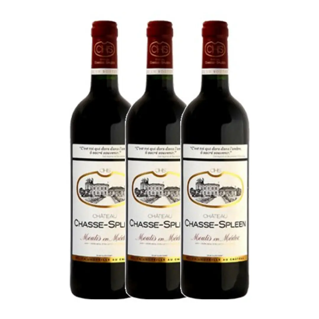 Château Chasse-Spleen Tinto Moulis 2021 3