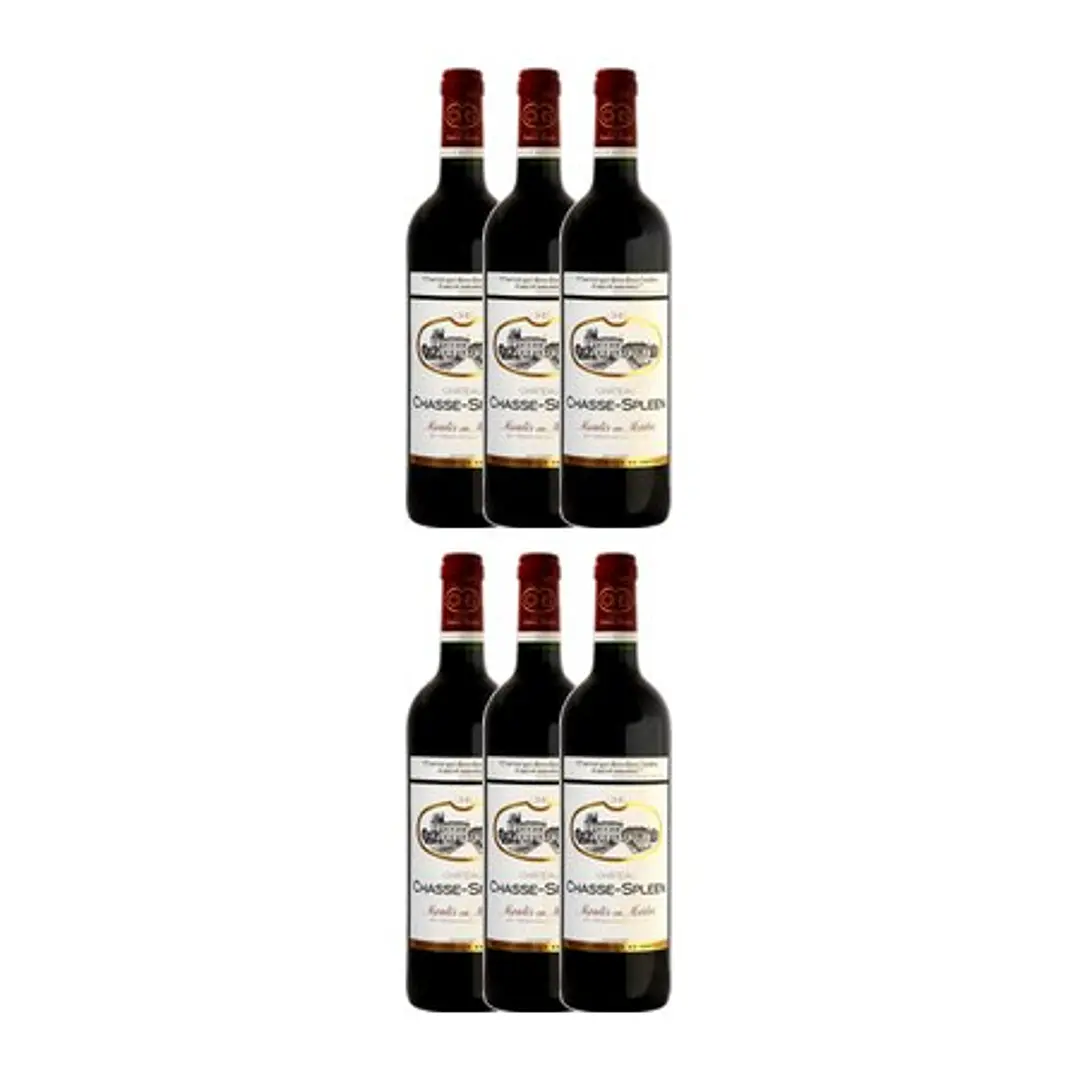 Château Chasse-Spleen Tinto Moulis 2021 4