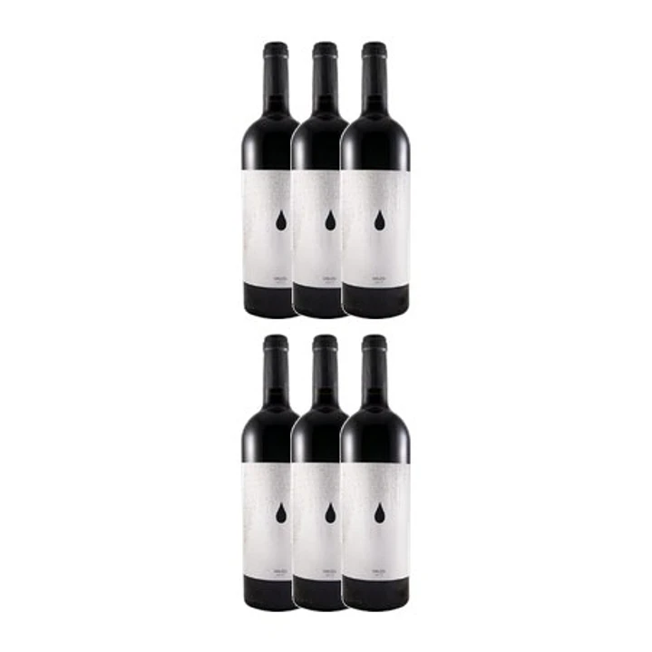SINLESS Tinto Alentejo 2017 4