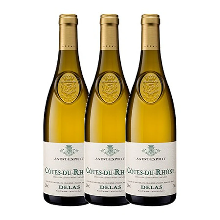 Delas Frêres SAINT-ESPRIT White Côtes-du-Rhône 2020 3
