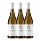 Vineadouro Rabigato Branco Douro 2022 - Thumbnail 3