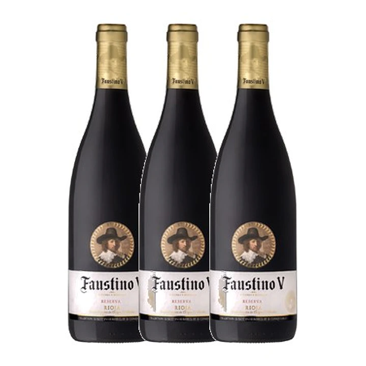 Faustino Reserva Tinto Rioja 2013 3