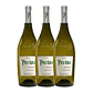 Protos Verdejo Blanco Rueda 2020 75cl - Miniatura 3