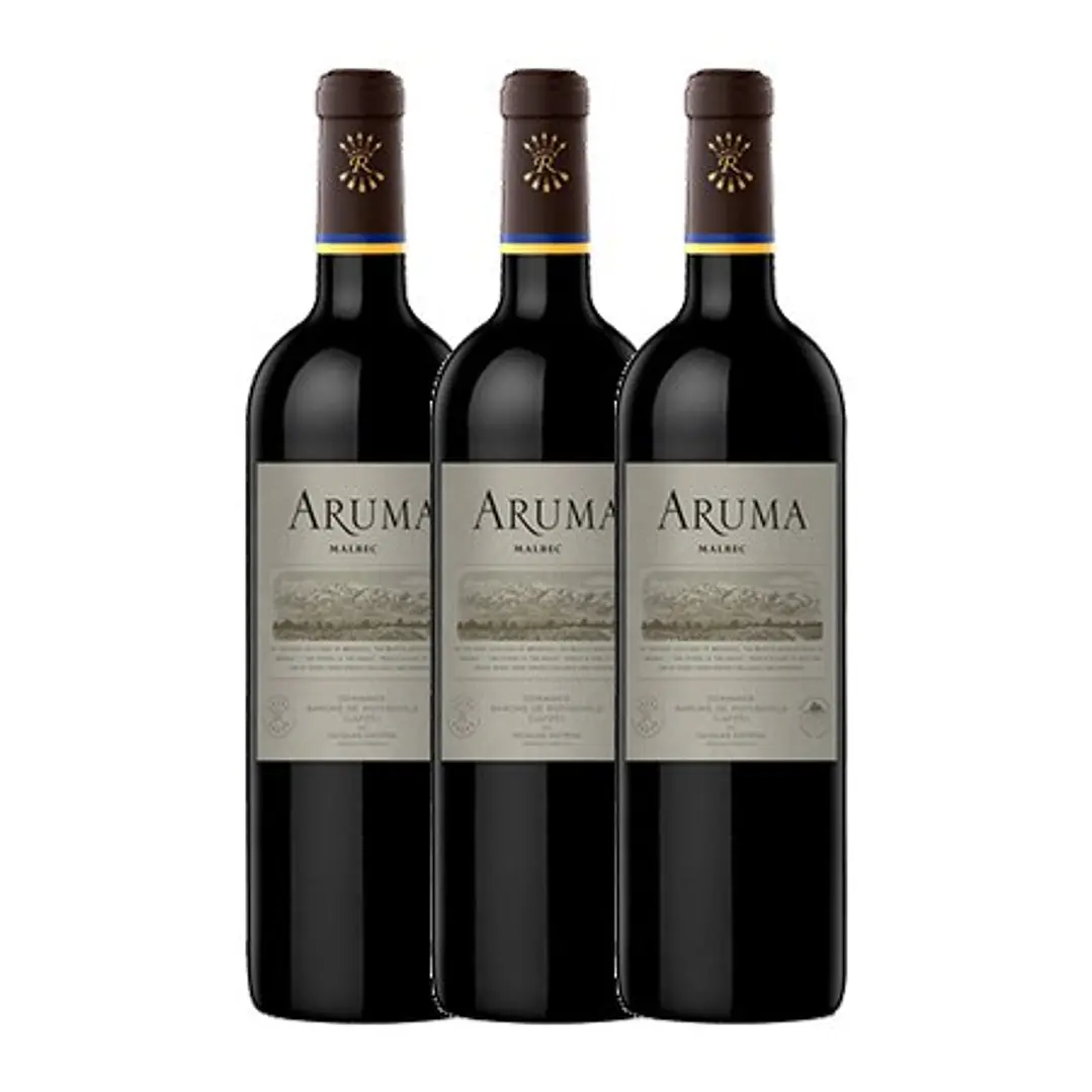 ARUMA by Caro (Catena and Rothschild) Malbec Mendonza Argentina 2021 3
