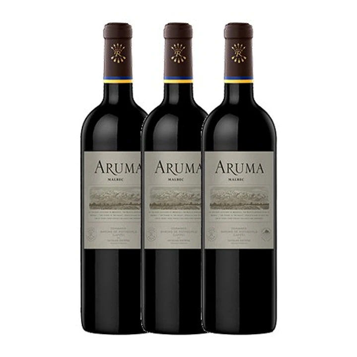 ARUMA by Caro (Catena and Rothschild) Malbec Mendonza Argentina 2021 3