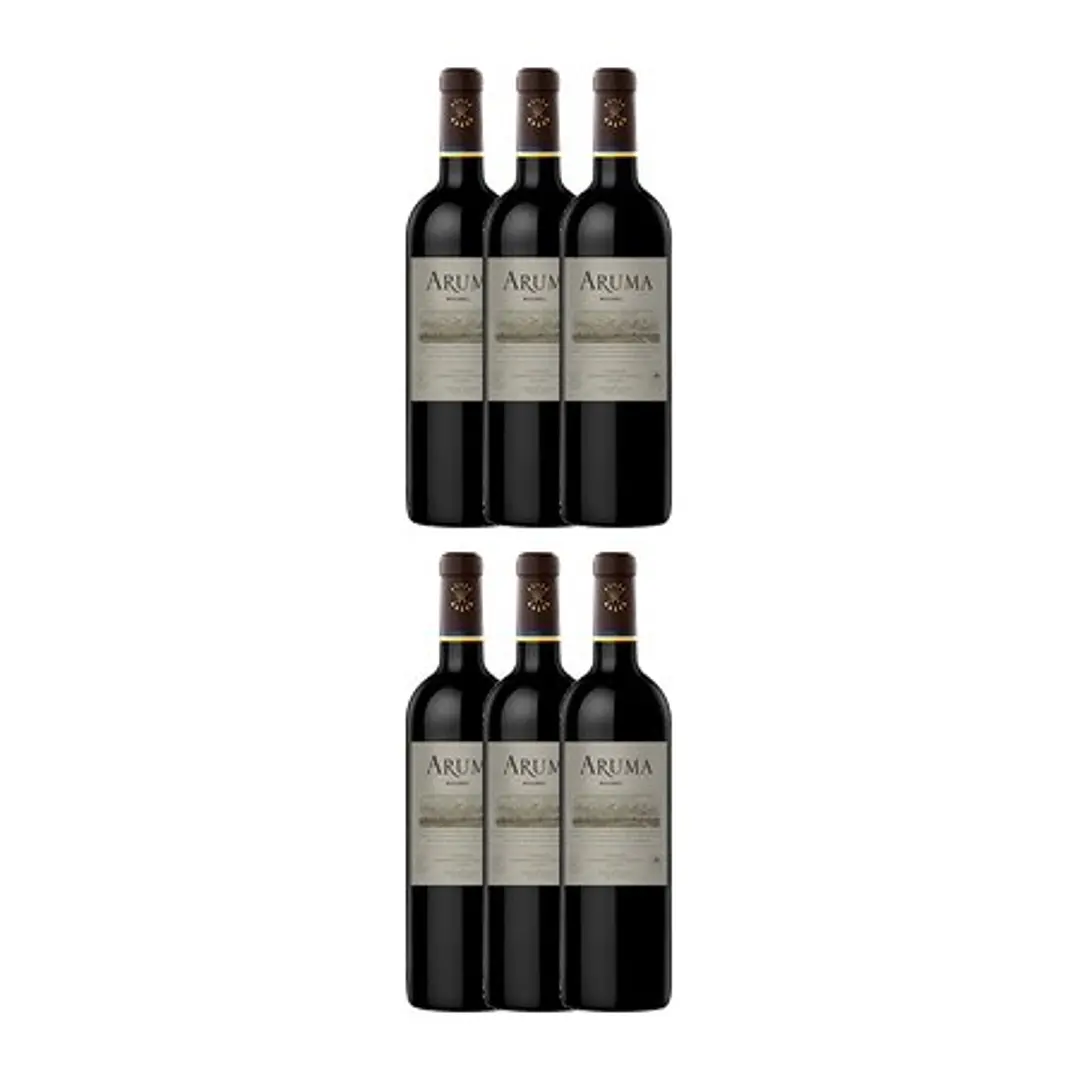 ARUMA by Caro (Catena and Rothschild) Malbec Mendonza Argentina 2021 4