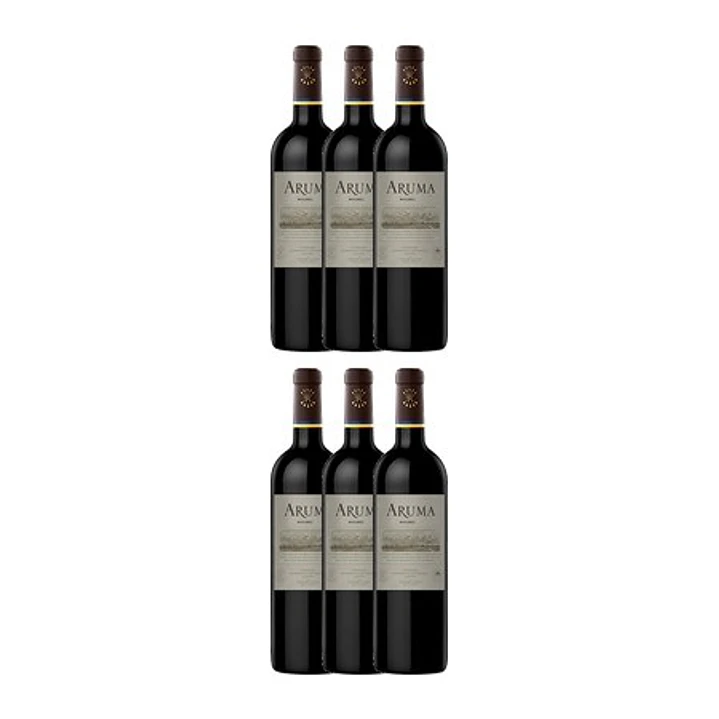 ARUMA by Caro (Catena and Rothschild) Malbec Mendonza Argentina 2021 4