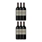 ARUMA by Caro (Catena and Rothschild) Malbec Mendonza Argentina 2021 - thumbnail 4