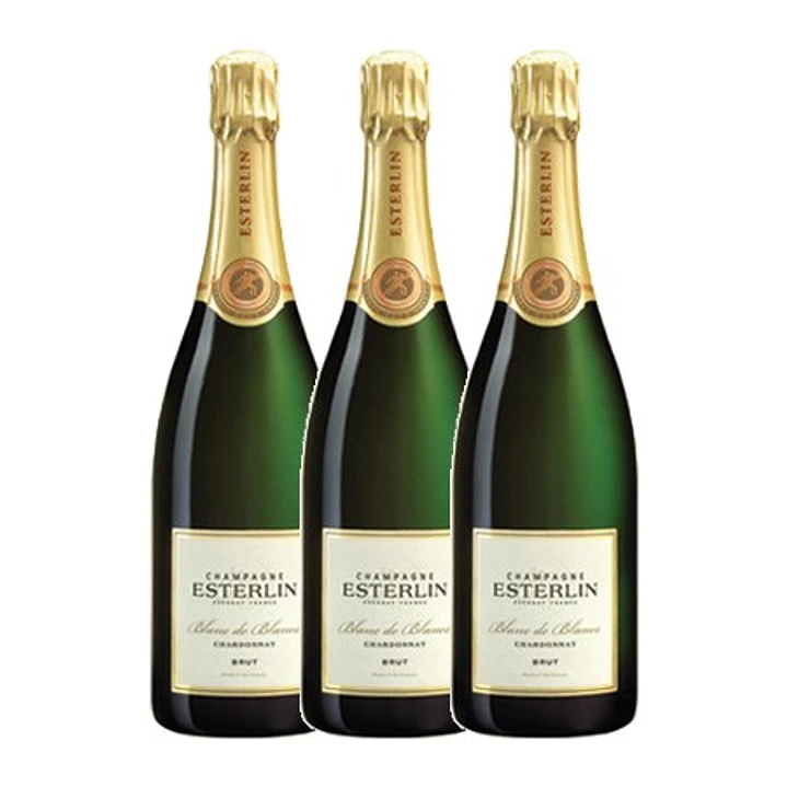 Esterlin Rosé Champagne 75cl 3