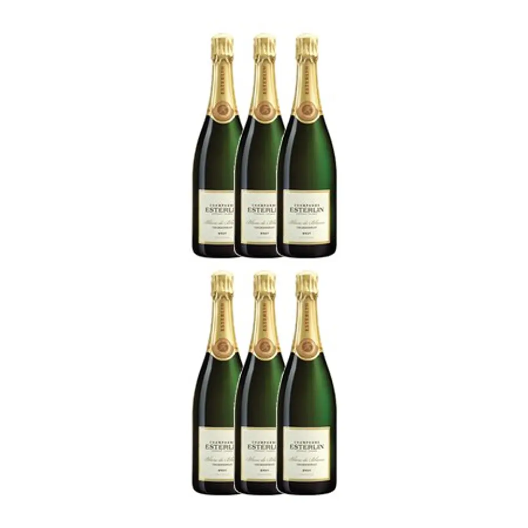 Esterlin Rosé Champagne 75cl 4