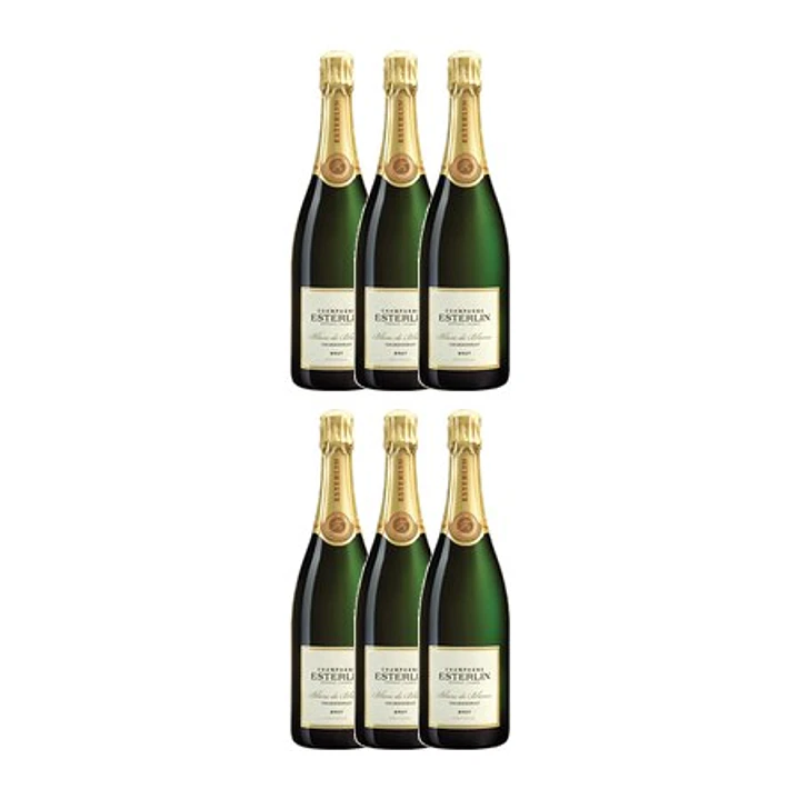 Esterlin Rosé Champagne 75cl 4