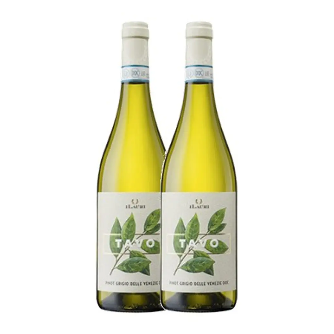 ILAURI Tavo Pinot Grigio delle Venezie 2019 2