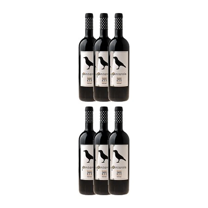 PINTAROLA RESERVA TINTO 2013 4
