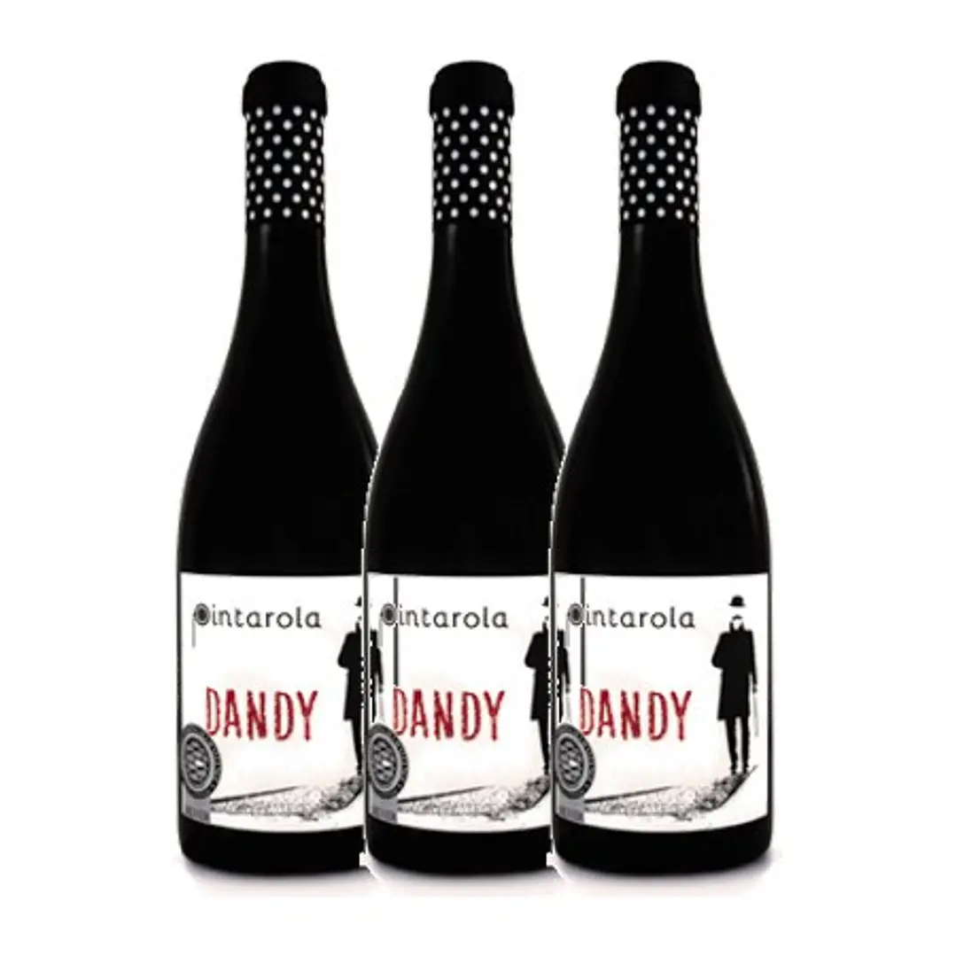 Pintarola Dandy Premium Tinto Lisboa 2016 3
