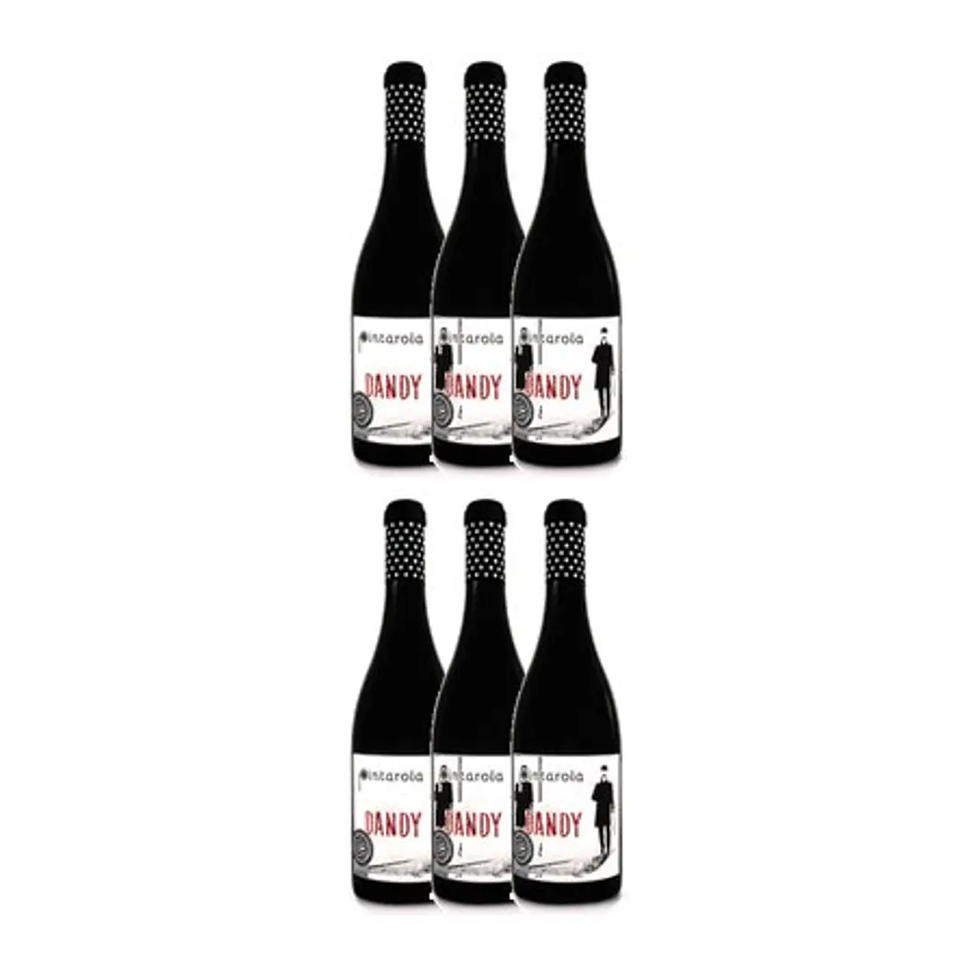 Pintarola Dandy Premium Tinto Lisboa 2016 4