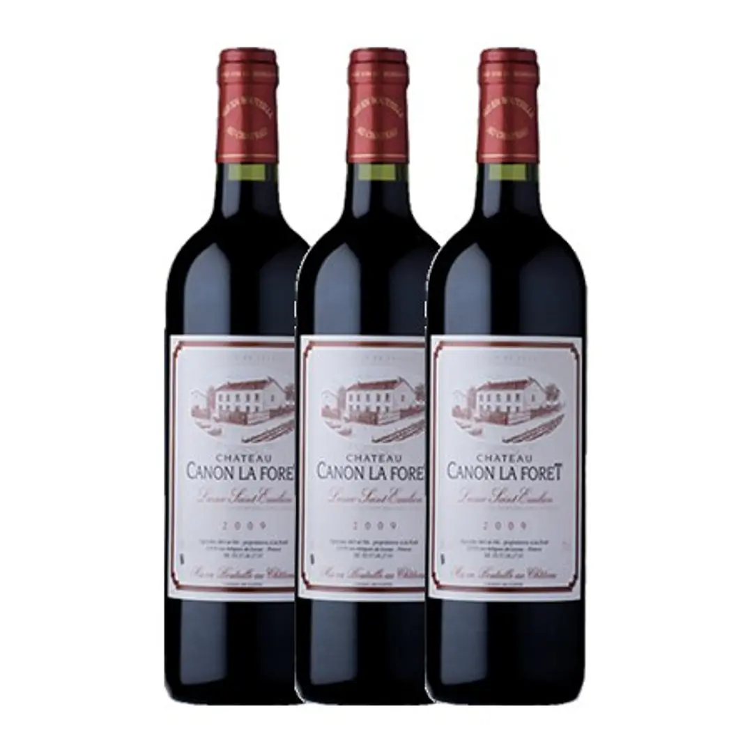 Château Canon La Forêt Tinto Lussac Saint-Émilion 2009 3