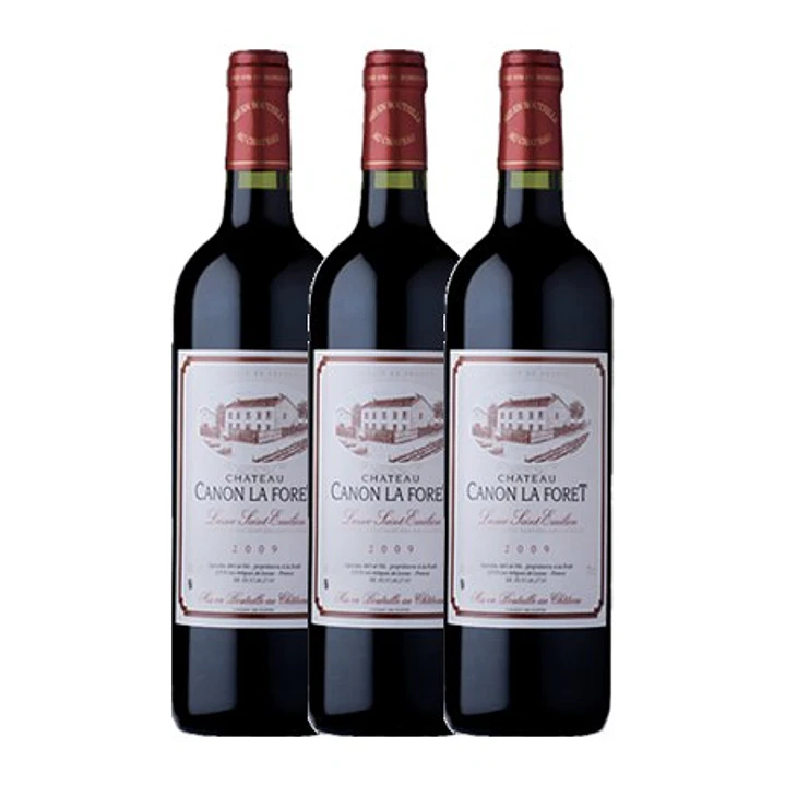Château Canon La Forêt Tinto Lussac Saint-Émilion 2009 3