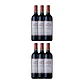 Château Canon La Forêt Tinto Lussac Saint-Émilion 2009 - Thumbnail 4