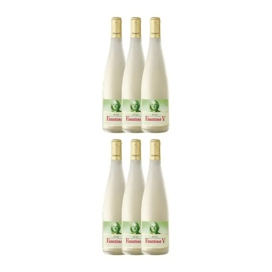 Faustino V Branco Rioja 2015 75cl 4