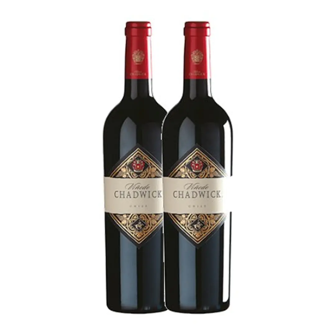 Vinedo Chadwick 2010 2