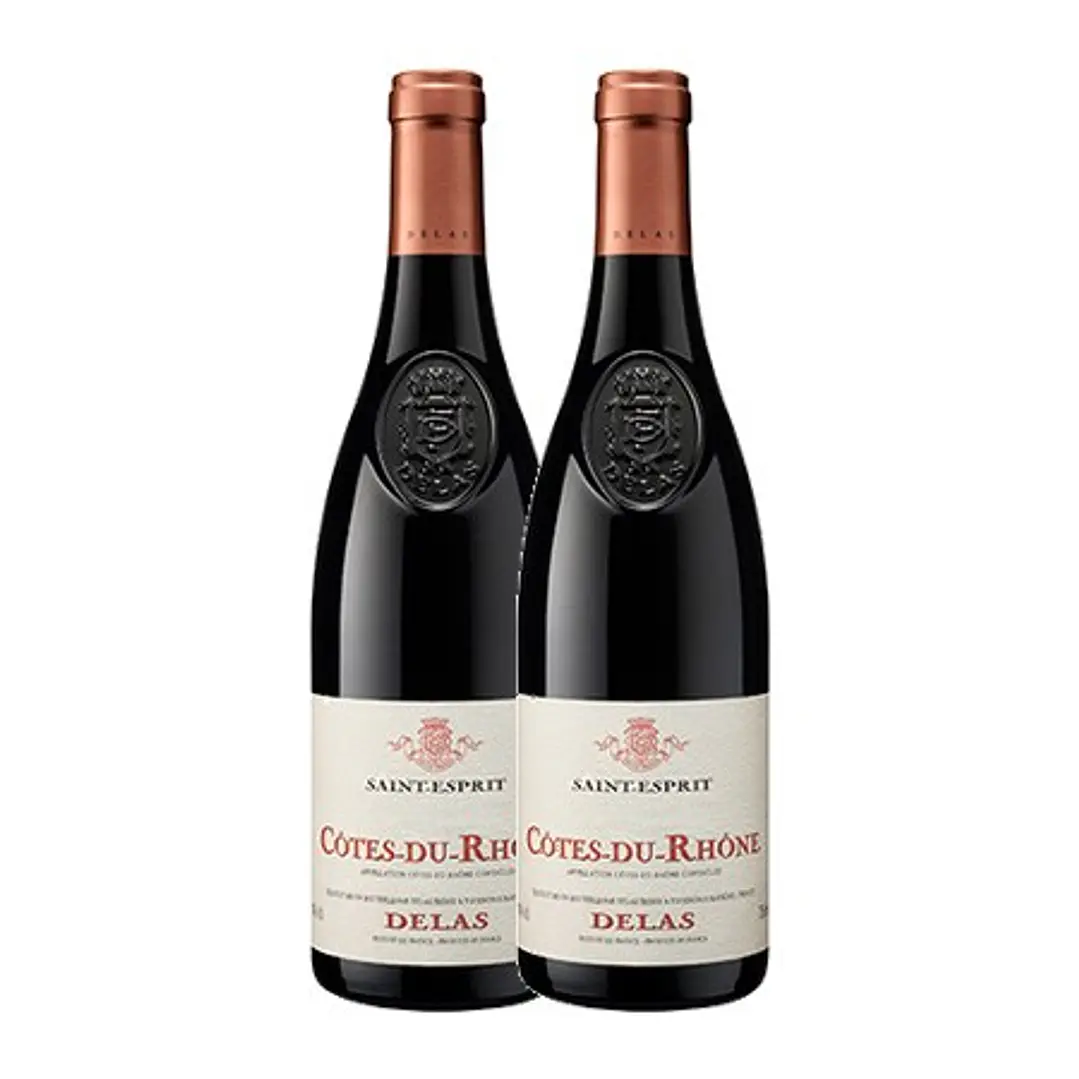 Delas Frères Saint-Esprit Tinto Côtes-du-Rhône 2022 2