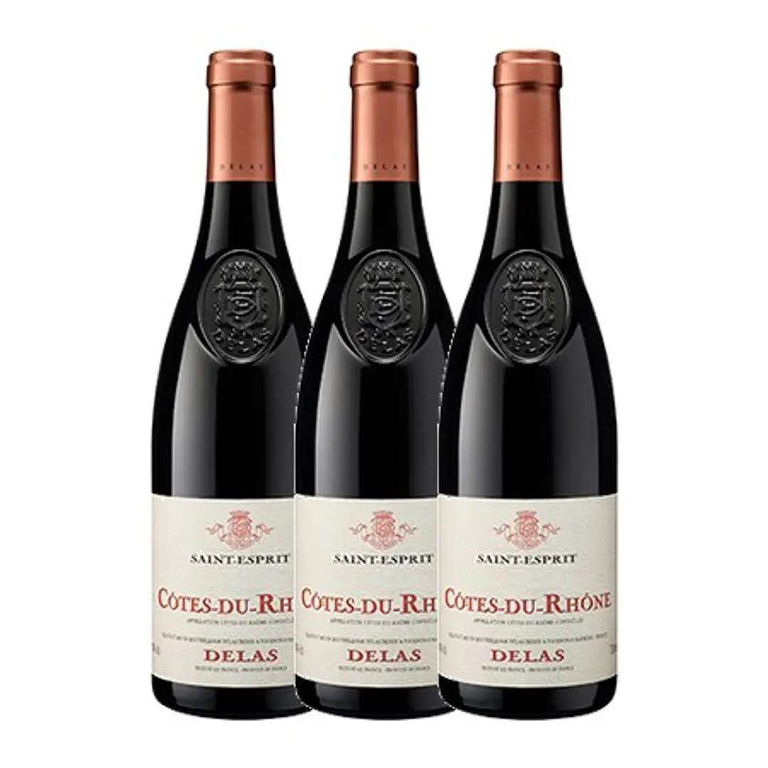Delas Frères Saint-Esprit Tinto Côtes-du-Rhône 2022 3
