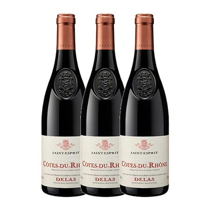 Delas Frères Saint-Esprit Tinto Côtes-du-Rhône 2022 3