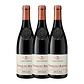 Delas Frères Saint-Esprit Tinto Côtes-du-Rhône 2022 - Thumbnail 3