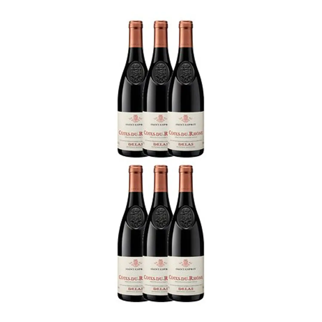 Delas Frères Saint-Esprit Tinto Côtes-du-Rhône 2022 4