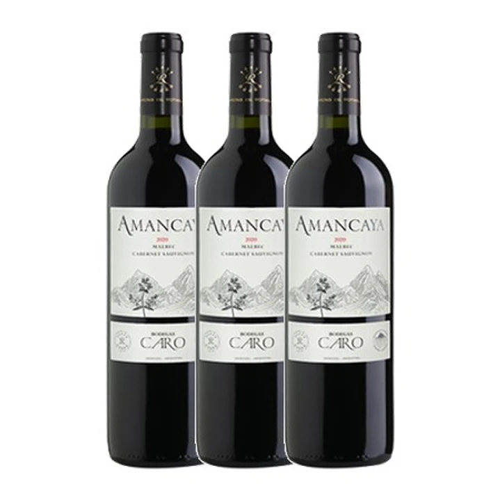AMANCAYA - Catena Zapata & Rothschild 2021 3