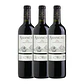 AMANCAYA - Catena Zapata & Rothschild 2021 - thumbnail 3