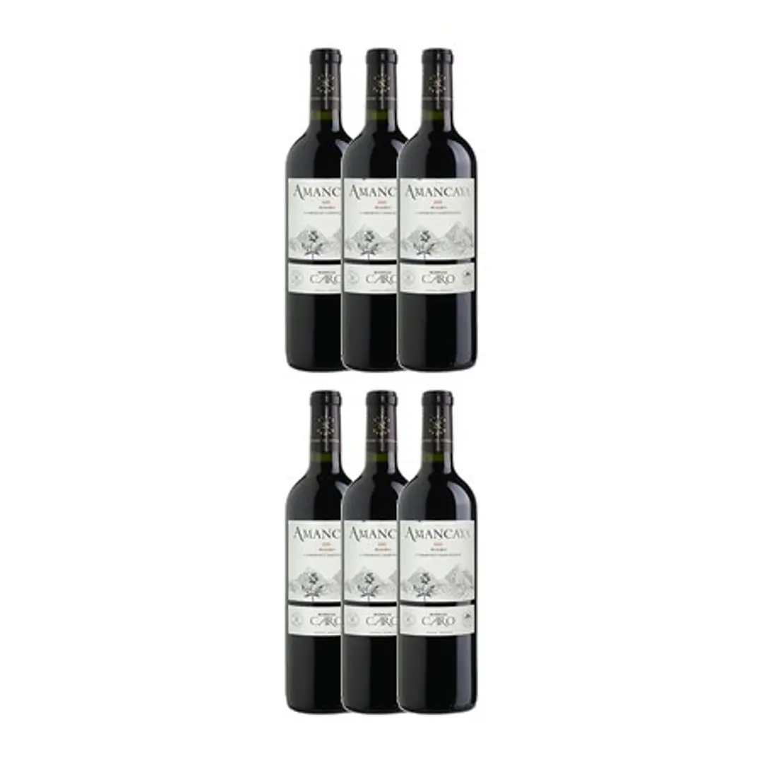 AMANCAYA - Catena Zapata & Rothschild 2021 4