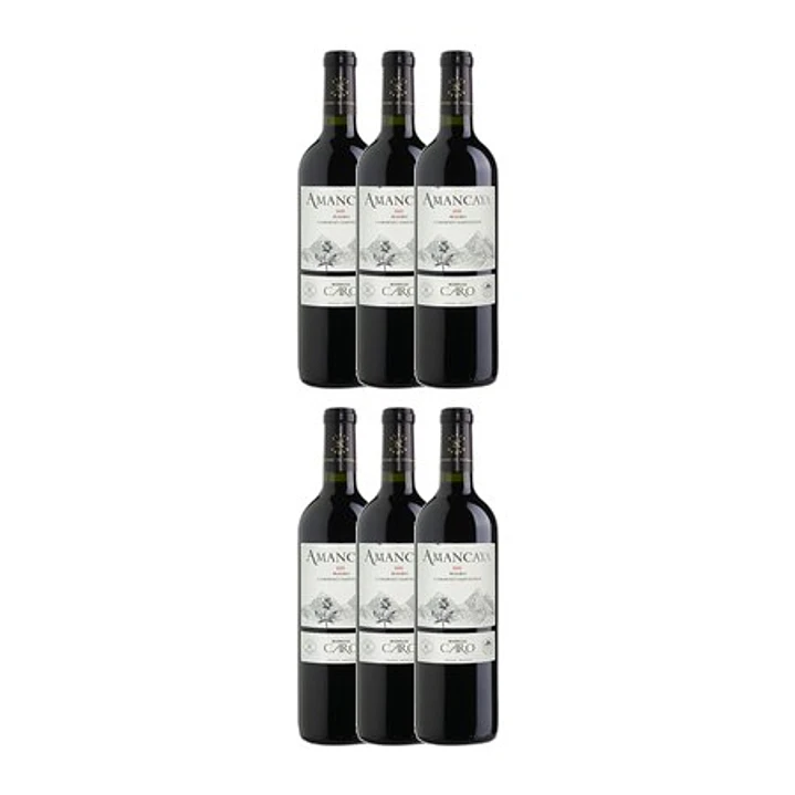 AMANCAYA - Catena Zapata & Rothschild 2021 4