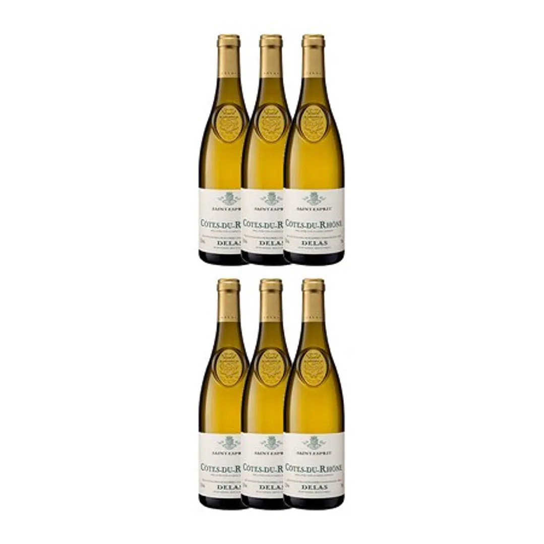 Delas Frères SAINT-ESPRIT White Côtes-du-Rhône 2023 4