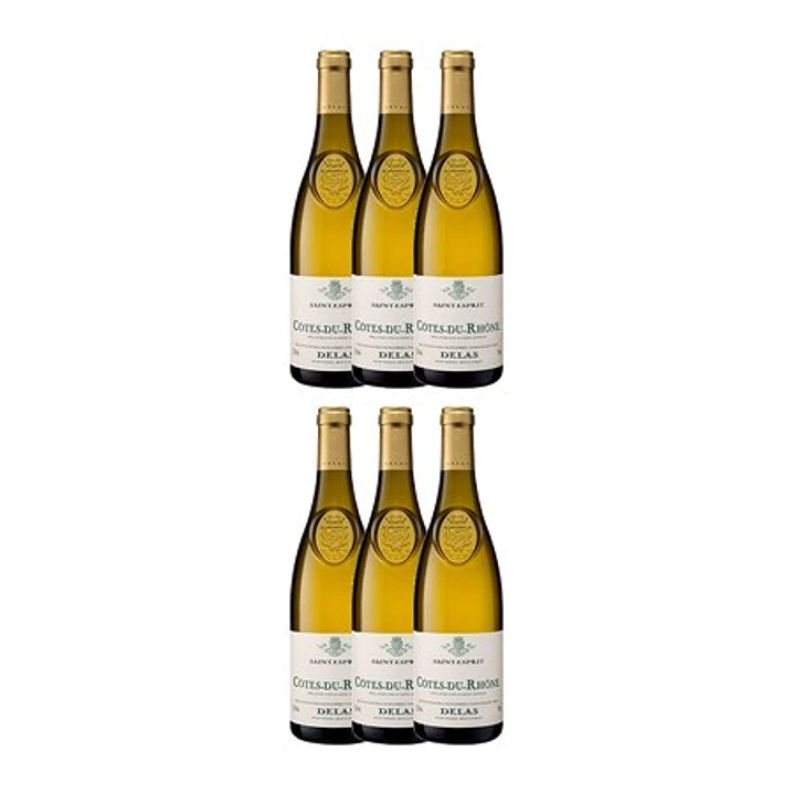 Delas Frères SAINT-ESPRIT White Côtes-du-Rhône 2023 4