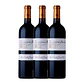 La Fleur d'Arthus Saint-Émilion Grand Cru 2022 75cl - vignette 3