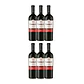 COMBRO Red Colheita Especial Douro DOC 2021 75cl - thumbnail 4