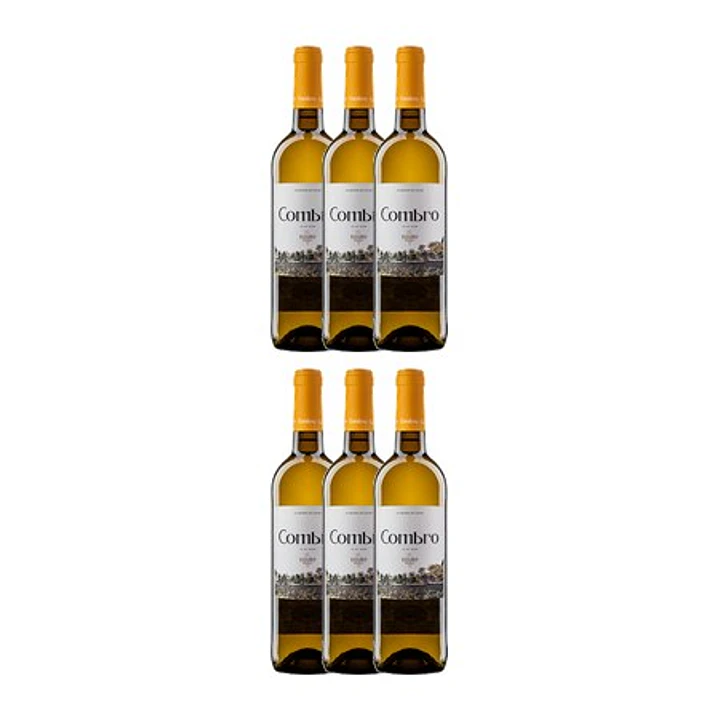 COMBRO Branco Douro DOC 2022 75cl  4