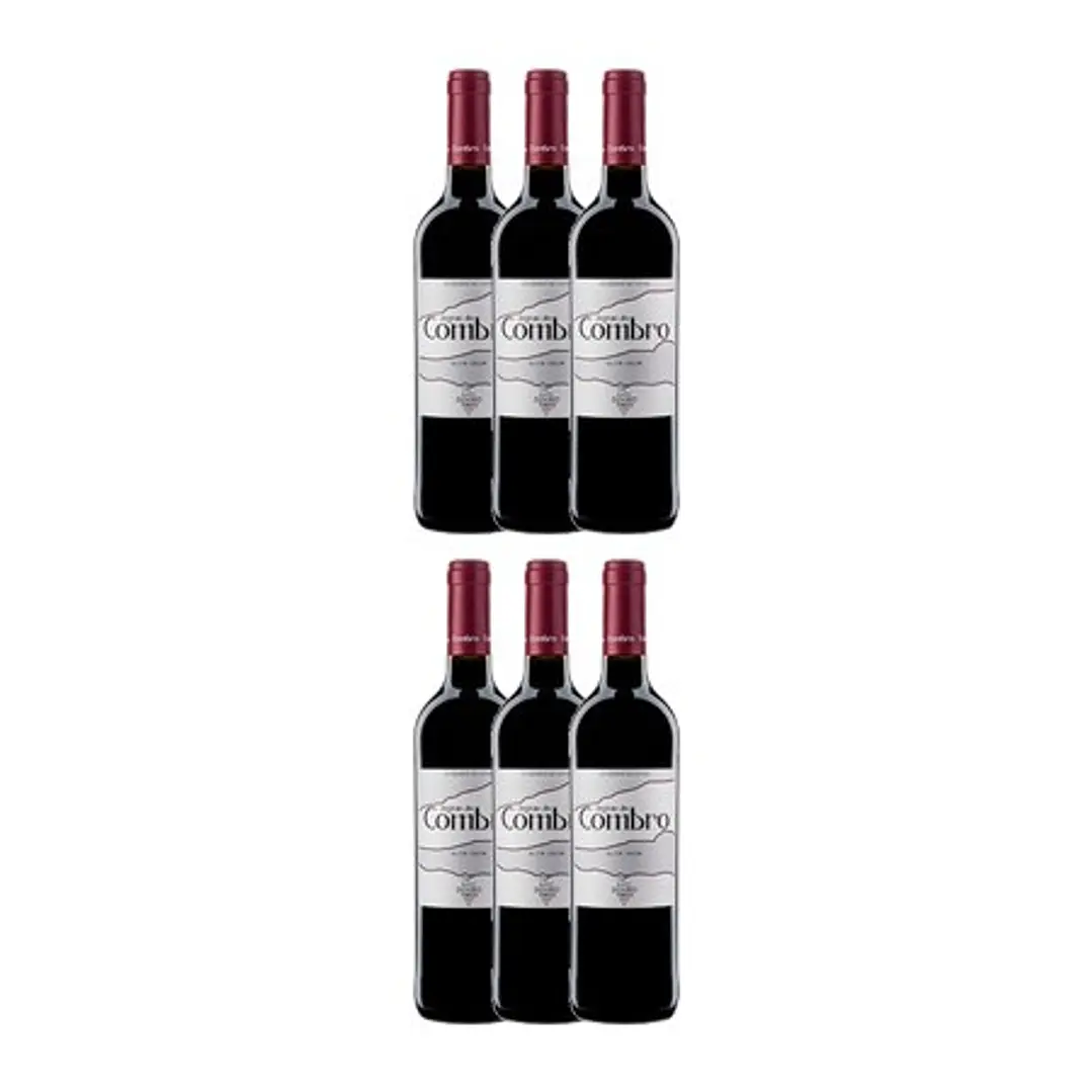 Degrau do COMBRO Tinto Douro DOC 2021 75cl 4