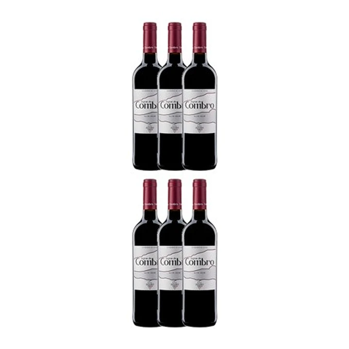 Degrau do COMBRO Tinto Douro DOC 2021 75cl 4
